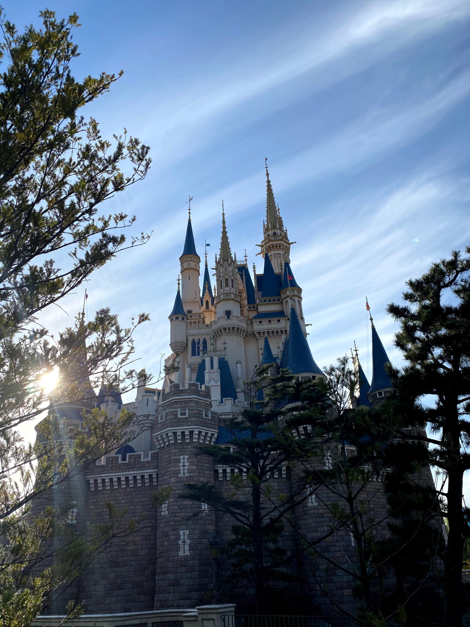 TDL「美女と野獣”魔法のものがたり”」体験！新エリア＆新アトラクション感想 ブログが書けたよ！